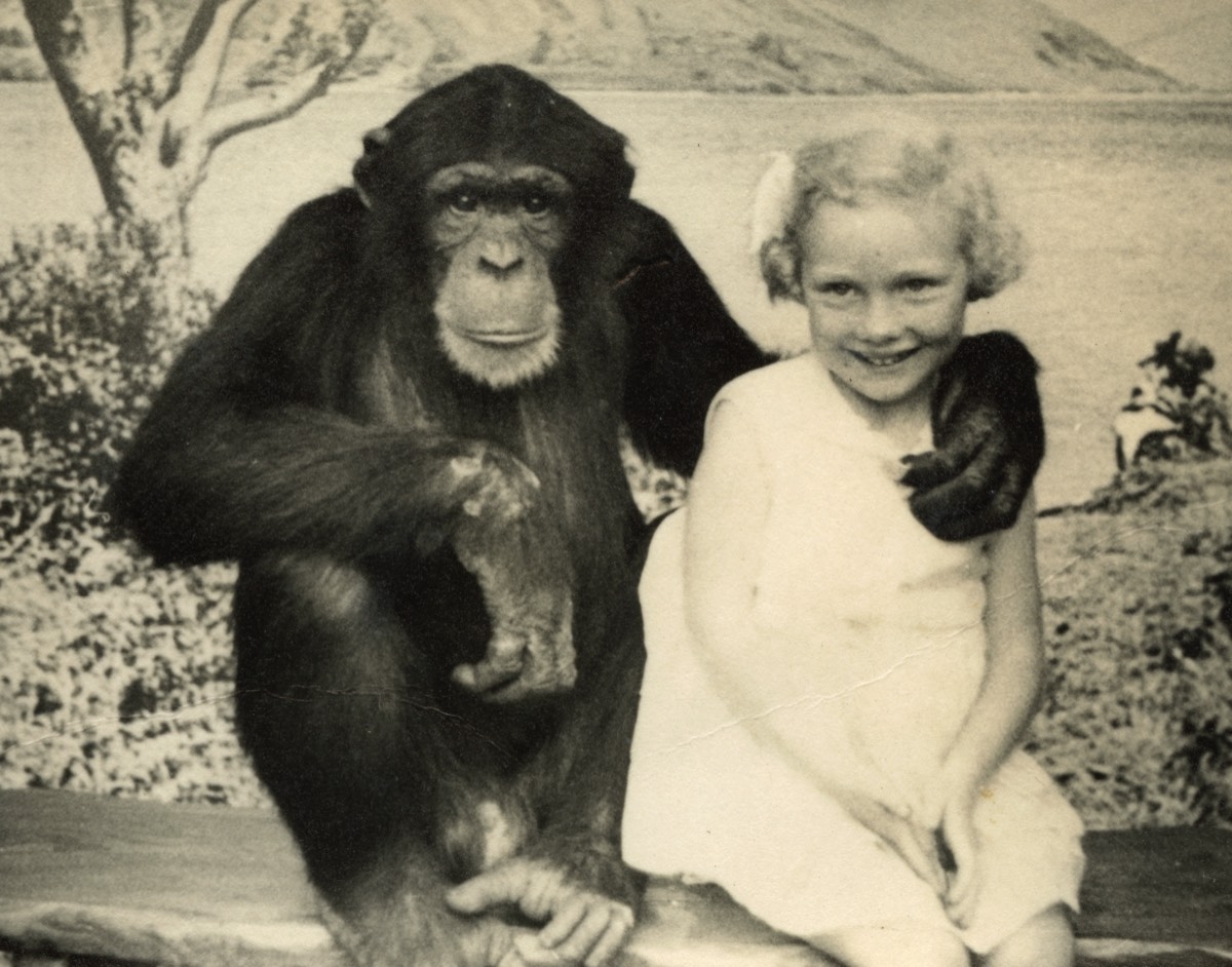 Spot the difference? - 1937